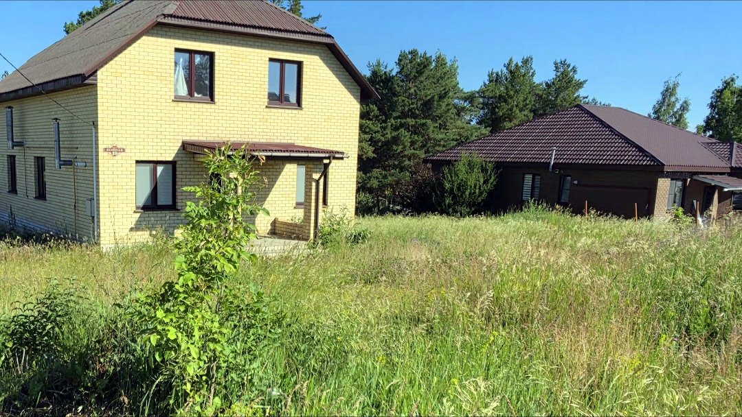 Заросший травой участок до покоса
